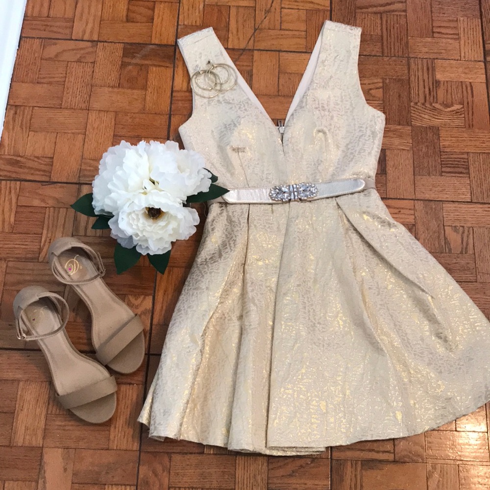Cocktail/homecoming dress